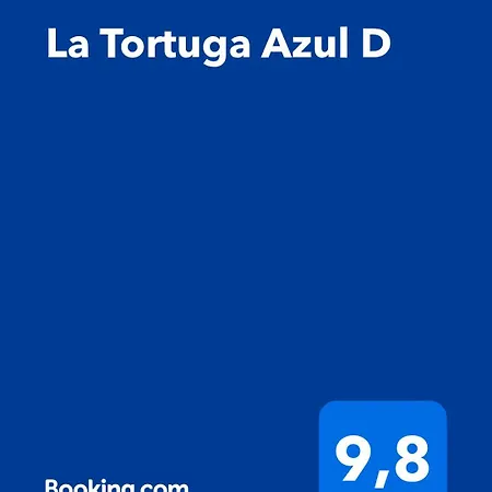 La Tortuga Azul D Lejlighed Puerto de la Cruz (Tenerife)